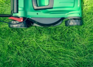 Landscape Maintenance
