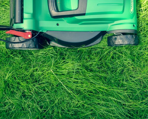 Landscape Maintenance